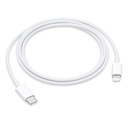 Cable de USB-C a conector Lightning (1 m) para Apple (BLANCO, PowerColor, A)
