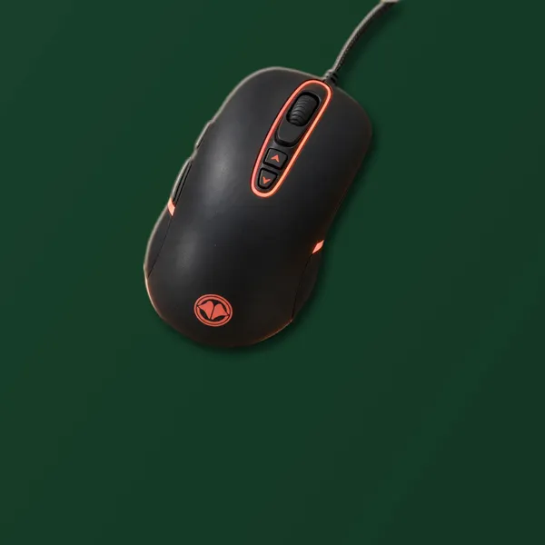 Ratones